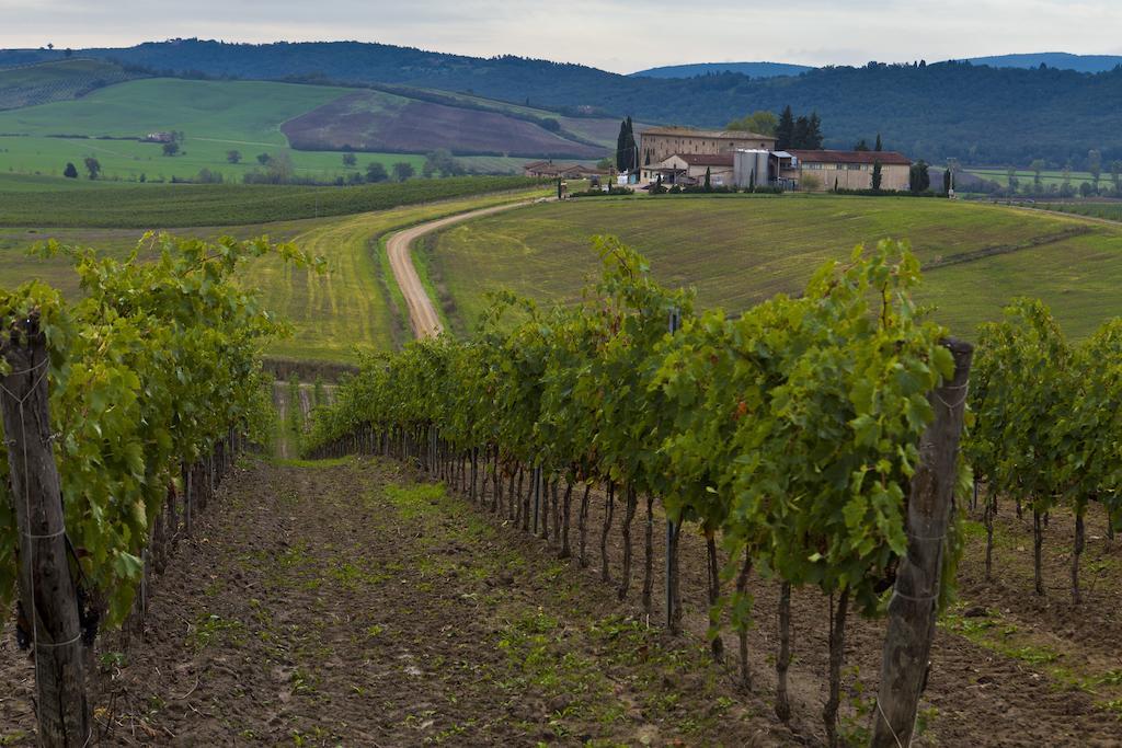 Agriturismo Casale Dello Sparviero Castellina in Chianti Exterior photo